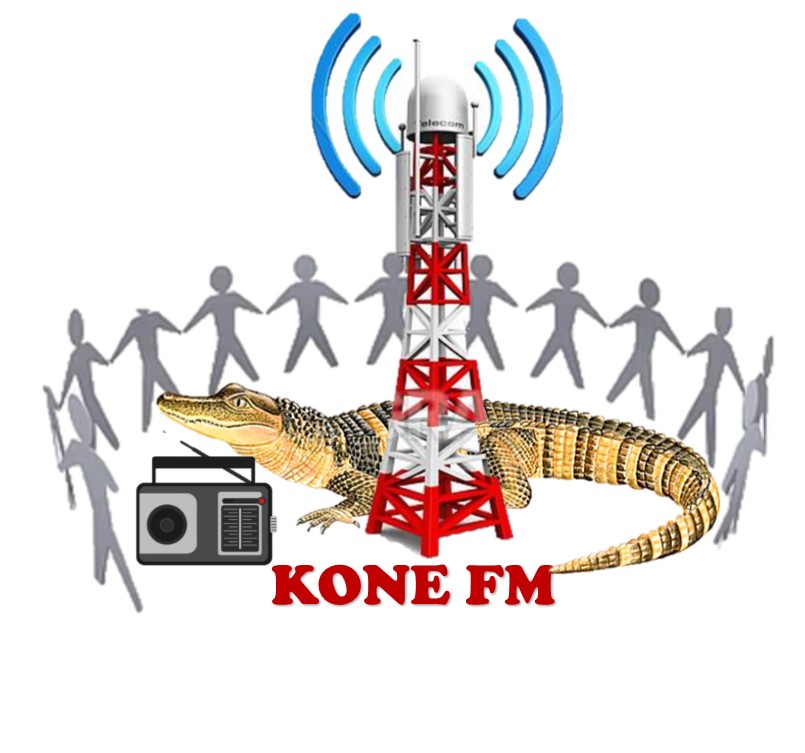 Logo Koné fm